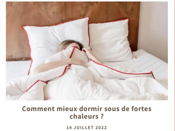 Aperçu du projet Articles pour Loulenn